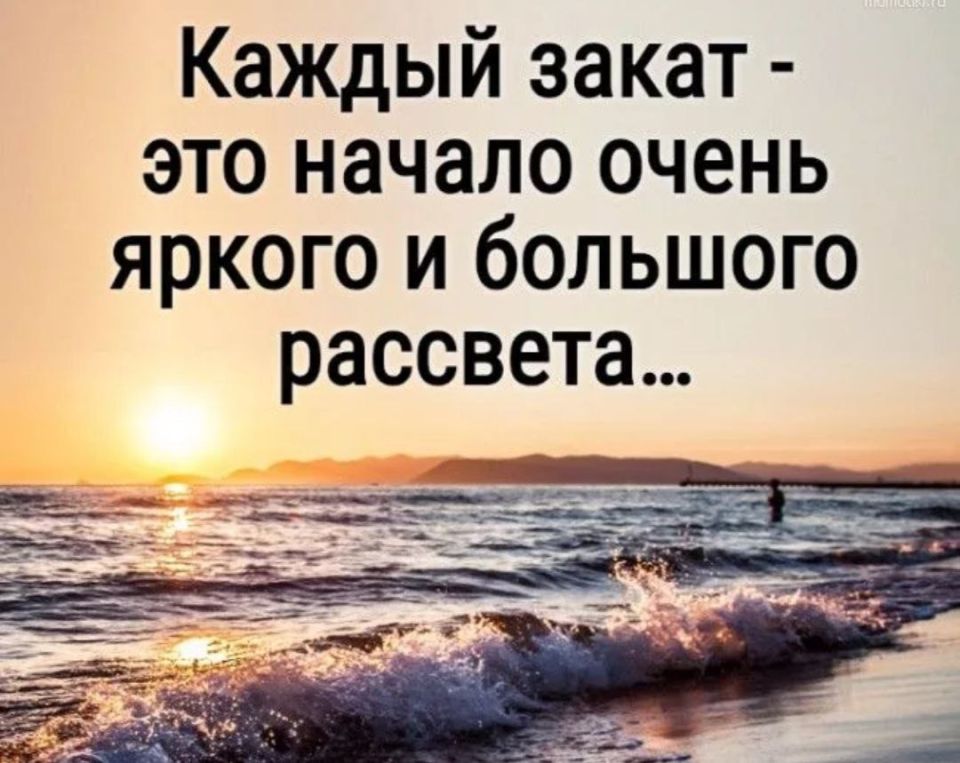 ��������� �����. ��������� ���������-24