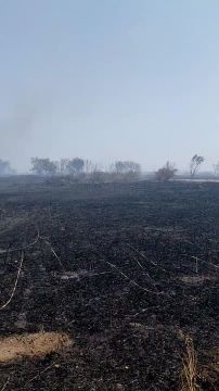 Последствия пожара на Левобережье