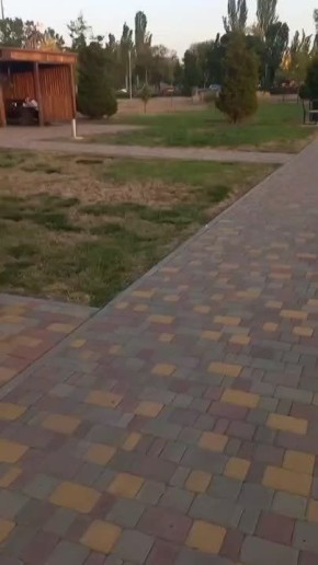  : ,    