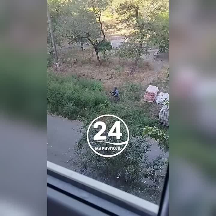  .         -                  : ....