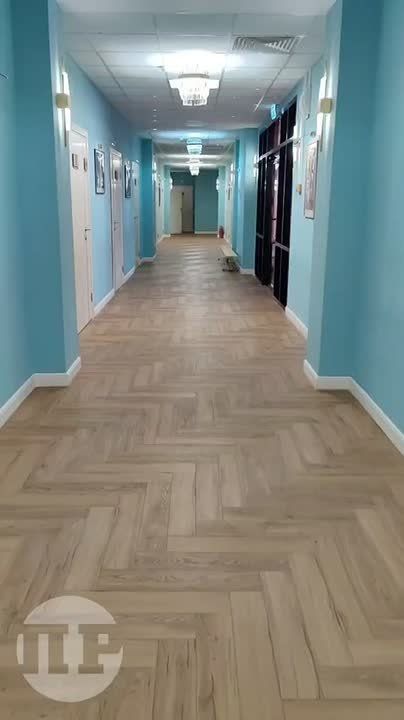      -     -    . ..         ...