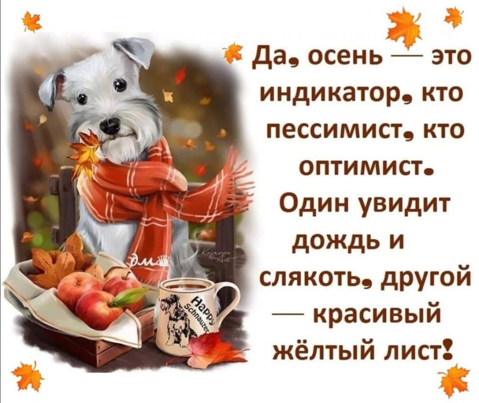  .  -24