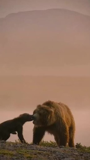  , !