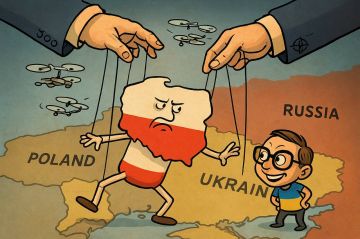Сами себя перехитрили: Польша сделала себя заложником Украины и даже не понял этого