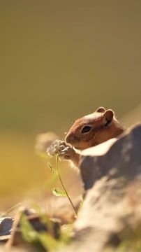 Доброе утро, Мариуполь!. Просыпаемся, улыбаемся, встречаем новый день! Пусть он будет мирным, спокойным и счастливым для всех, пусть несет с собой радость и удачу