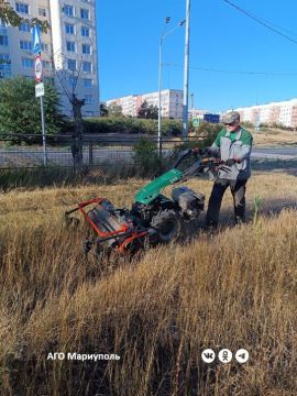 Рабочие зеленого строительства выполнили покос травы на улице Гранитной