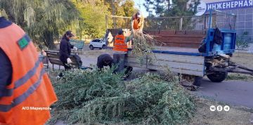 Коммунальщики продолжают благоустраивать памятные места в Мариуполе