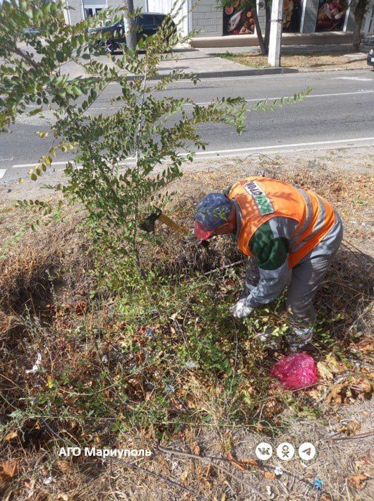 На левобережье Мариуполя коммунальщики благоустроили сквер 50-летия Комсомола