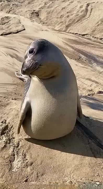   , !