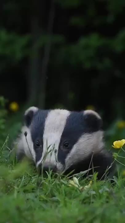 , !