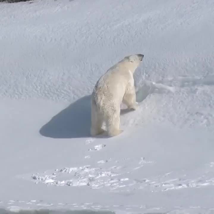  , !