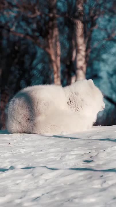  , !