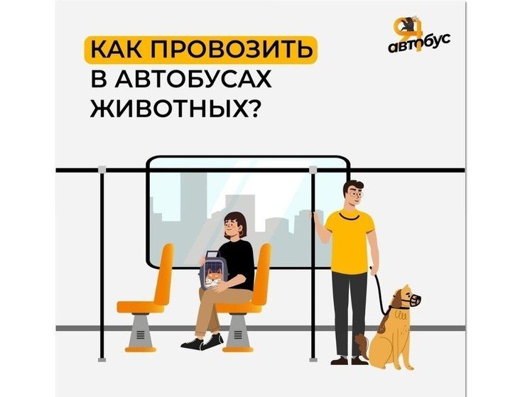 :  ?  