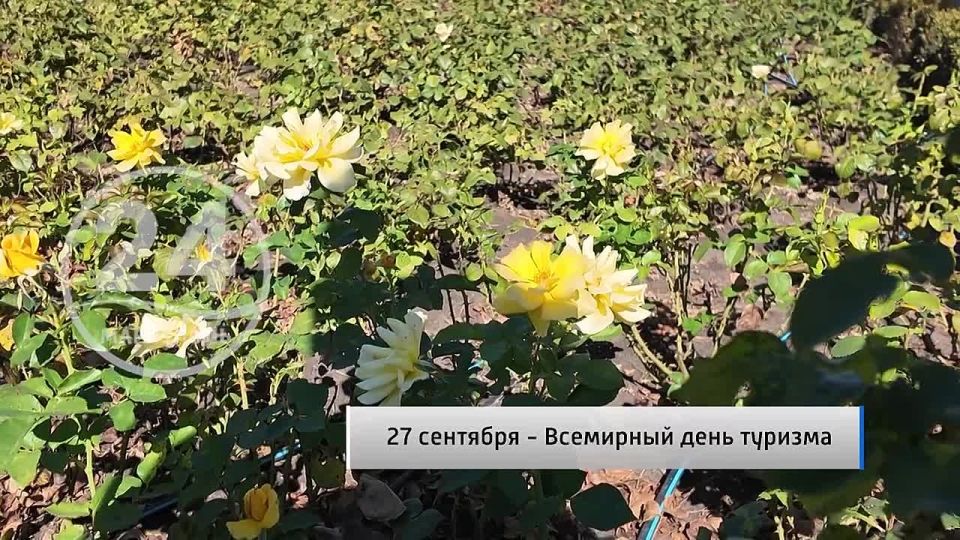  27.09. 27  -      ,          