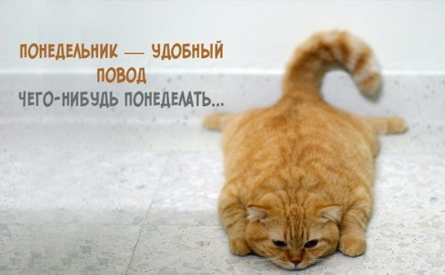  .   Telegram