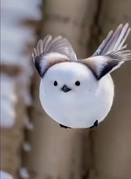  , !