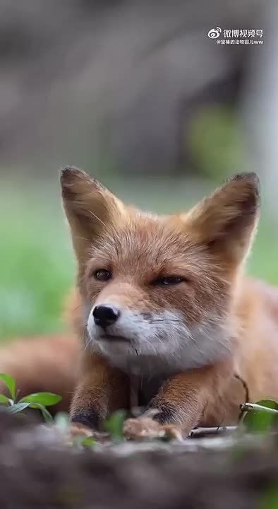  , !
