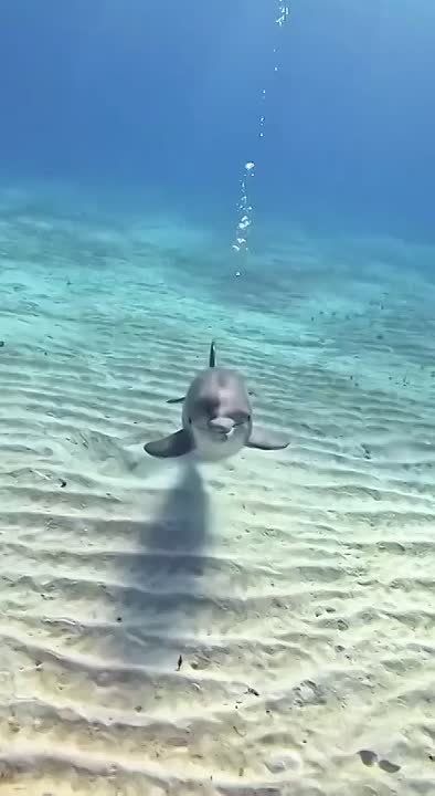 Спокойной ночи, Мариуполь!