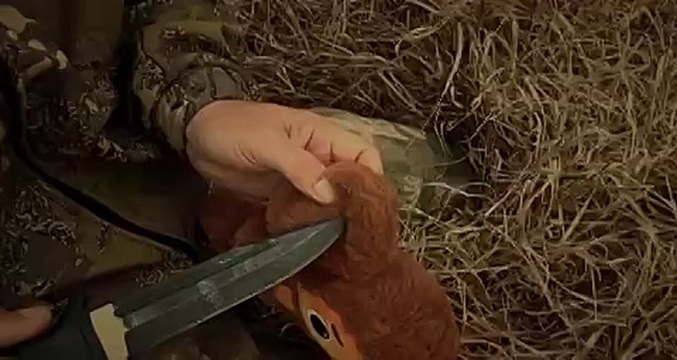 Малькевич Live: МУЗЫКА НА КАНАЛЕ. Исполнитель: Кальянов & «Одной крови» Песня: «Чебурашка» Сьемки проходили на территории завода «Азовсталь» города Мариуполь