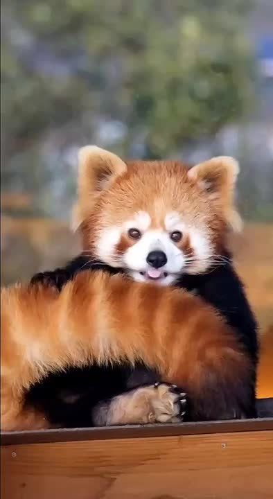  , !.         ! National Geographic       ,     ...