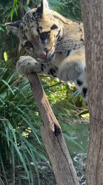 С добрым утром, Мариуполь!