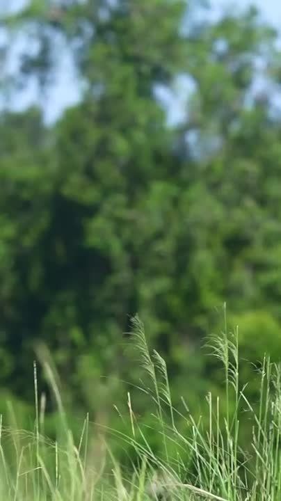 Спокойной ночи, Мариуполь!