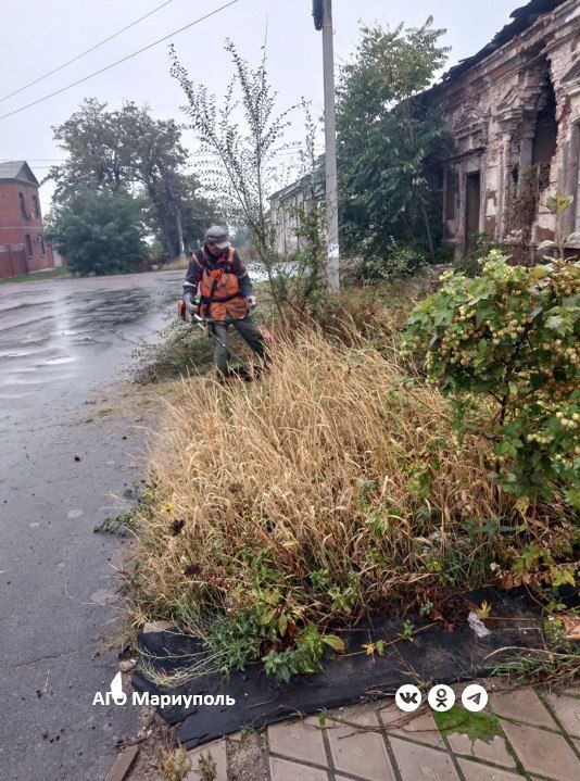 Коммунальщики благоустраивают зеленые зоны в старой части Мариуполя