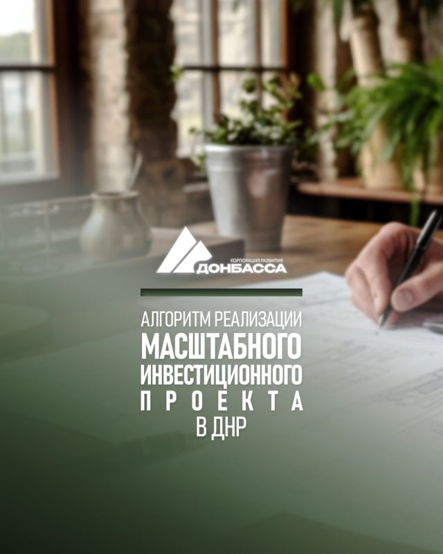 Алгоритм реализации масштабного инвестиционного проекта в ДНР