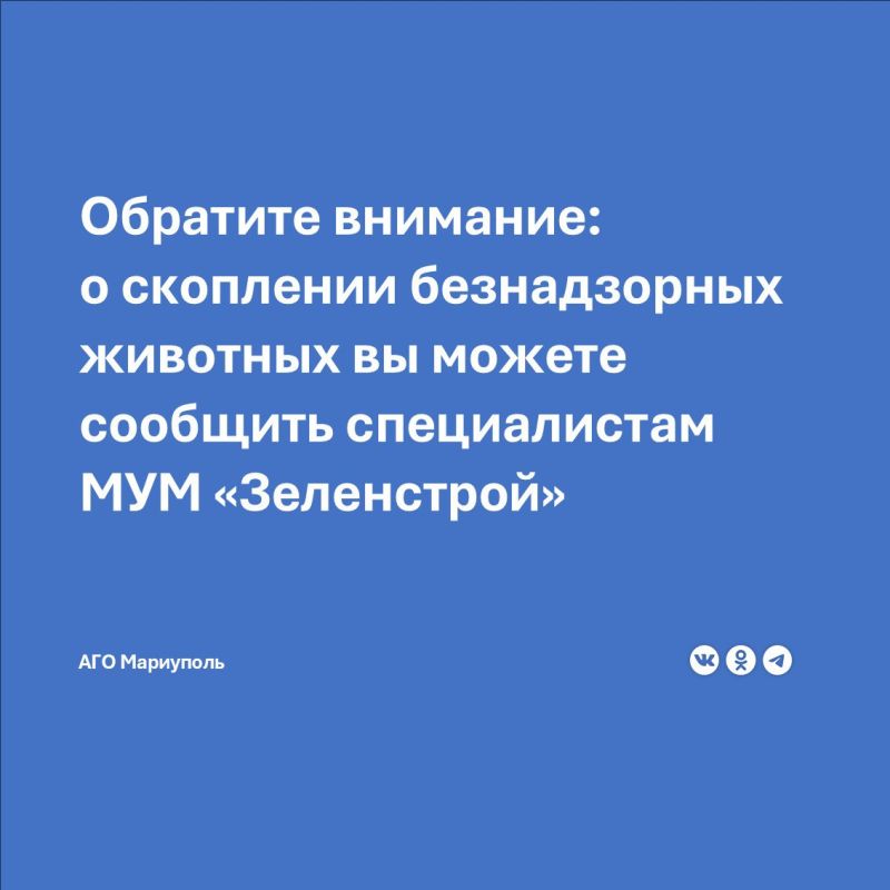    :      , ,       &quot;&quot;