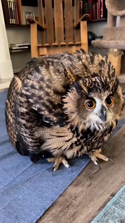 Спокойной ночи, Мариуполь!