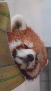 Спокойной ночи, Мариуполь!