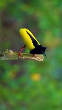 С добрым утром, Мариуполь!