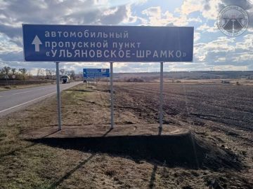 #свод_за_сутки #летнее_содержание