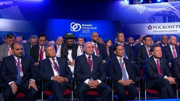 Владимир Путин выступает на пленарном заседании Международного форума «Российская энергетическая неделя»