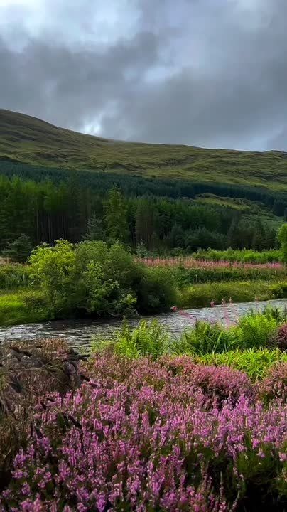 Спокойной ночи, Мариуполь!