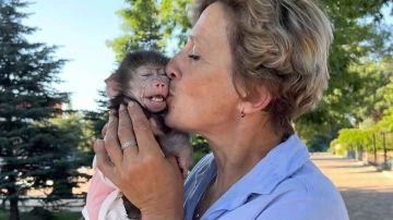 Львы не знают жалости: в «Тайгане» вспоминают Леокадию Перевалову, растерзанную хищниками