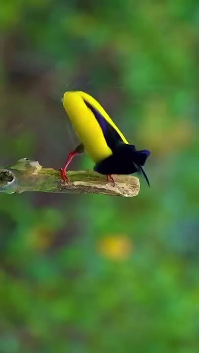 С добрым утром, Мариуполь!