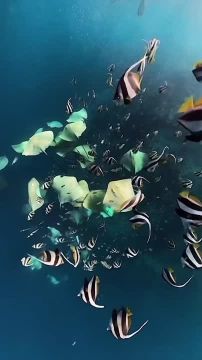 Спокойной ночи, Мариуполь!