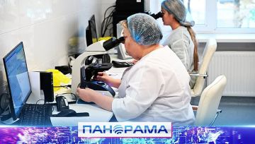 За девять месяцев — более полутора миллионов исследований: каков принцип работы лаборатории Мариуполя?