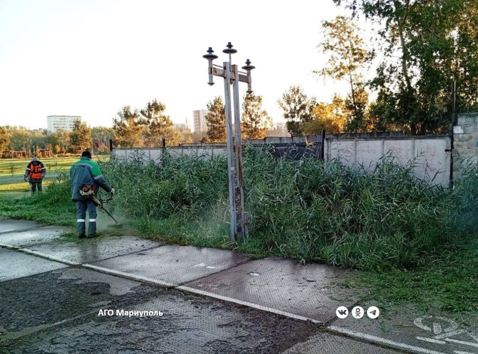 В Мариуполе коммунальщики продолжают приводить в порядок зеленые зоны