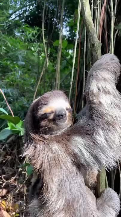 Спокойной ночи, Мариуполь!