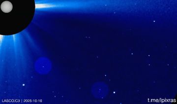 Две кометы, сгоревшие на Солнце с интервалом в несколько часов, попали в объективы космических коронографов LASCO 10 и 11 октября