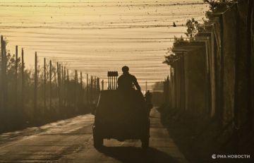 Монахиня рассказала, как ветераны ВОВ помогали ей укрывать машину от дронов