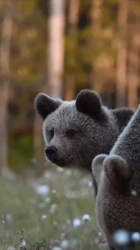 Спокойной ночи, Мариуполь!