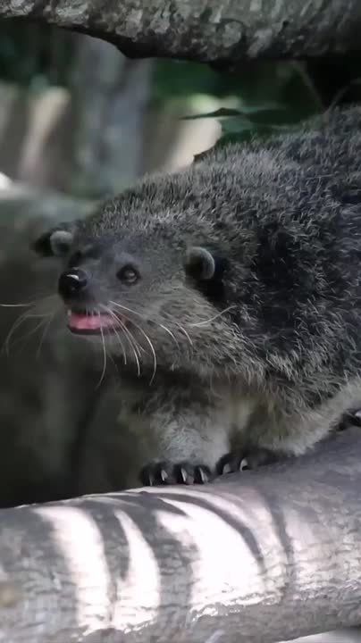 Доброе утро, Мариуполь!. Просыпаемся, улыбаемся, встречаем новый день! Пусть он будет мирным, спокойным и счастливым для всех, пусть несет с собой радость и удачу