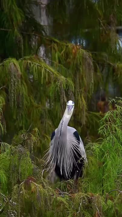 Спокойной ночи, Мариуполь!