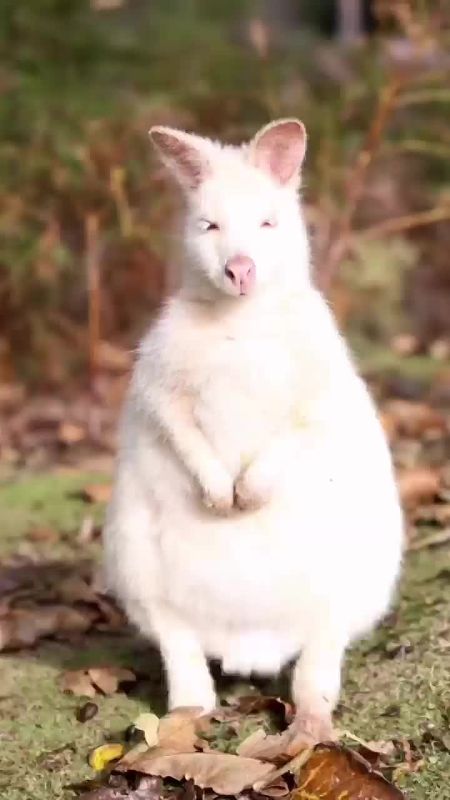 С добрым утром, Мариуполь!