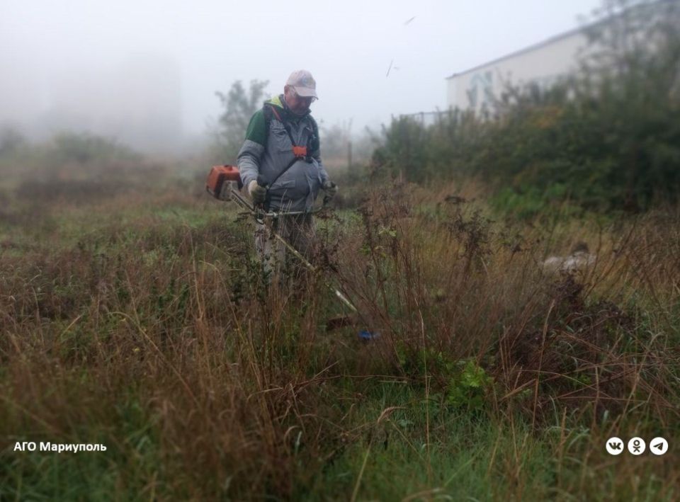 В Мариуполе коммунальщики продолжают осенний покос травы