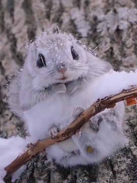 С добрым утром, Мариуполь!
