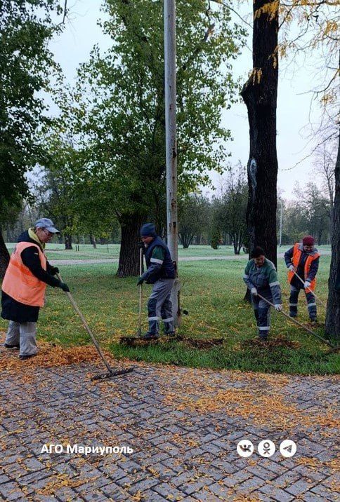 Коммунальщики продолжают благоустраивать зеленые зоны Мариуполя